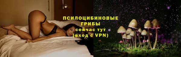 стаф Белоозёрский