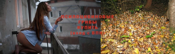 стаф Белоозёрский