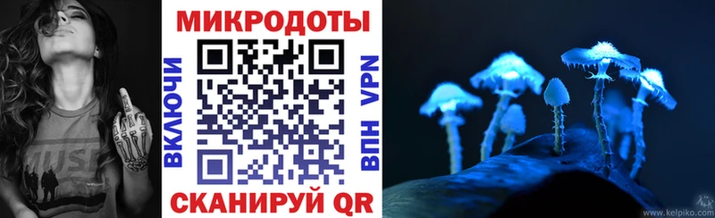 купить закладку  Ермолино  Галлюциногенные грибы мухоморы 